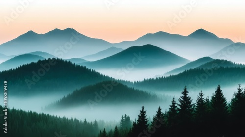 close-up of pine trees in fog.