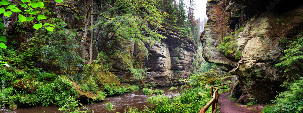 Summer natural landscape, panorama, banner - view of the mountain river and the tourist trail in the Elbe Sandstone Mountains, Bohemian Switzerland, the north-western Czech Republic