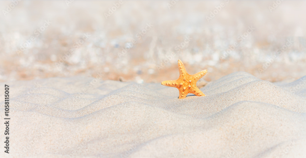 Close-up view of a beach with starfish on the sand under the hot sun, selective focus. Beach holiday concept, background with copy space for text