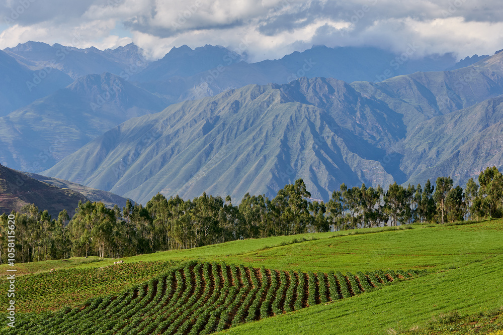Endless beauty in the farmlands near Moray and Maras, where ancient techniques meet breathtaking landscapes. The heart of Peru’s agricultural history still thrives here Endless beauty in the farmlands near Moray and Maras, where ancient techniques meet breathtaking landscapes. The heart of Peru’s agricultural history still thrives here