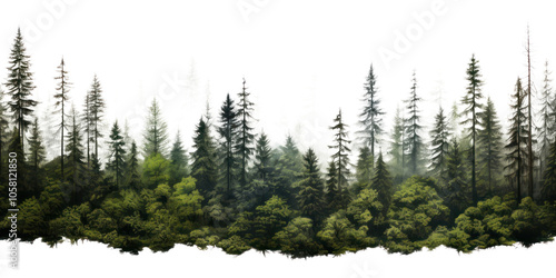 Fototapeta Naklejka Na Ścianę i Meble -  PNG Forest outdoors woodland nature.