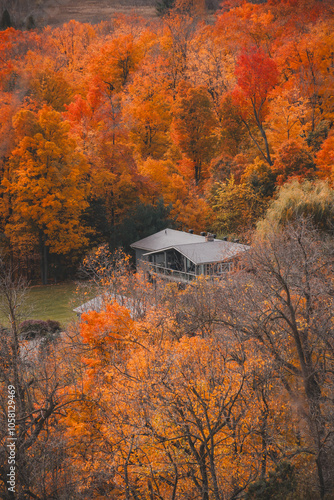 Fall Season
