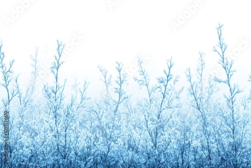 Frost covered winter trees silhouetted against a bright white background capturing serene beauty and winter calm ideal for seasonal decor nature inspired art or minimalist visuals