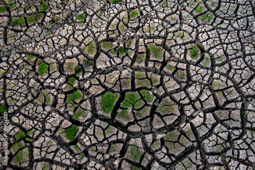 cracks ground, Drought rice fields, Cracked soil background photo