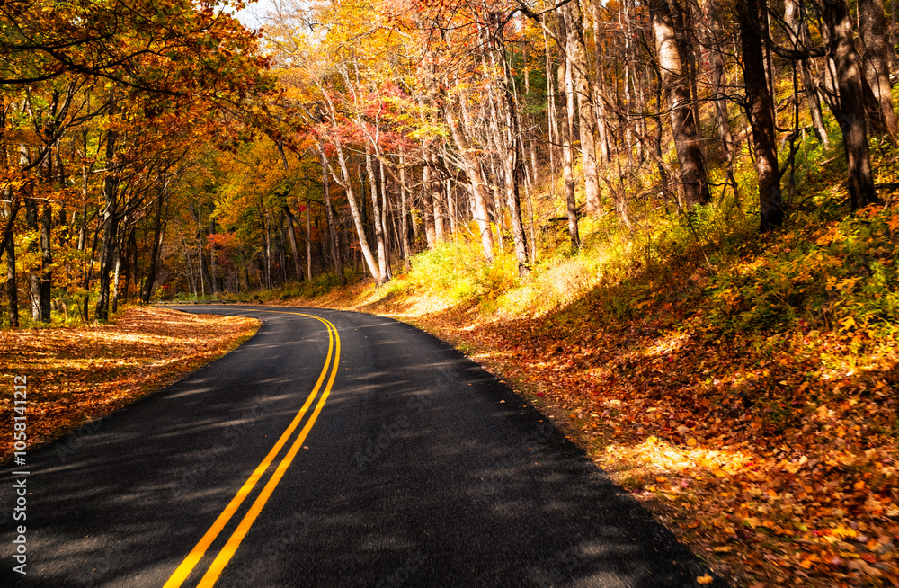 Obraz premium Blue Ridge Parkway Fall 2024