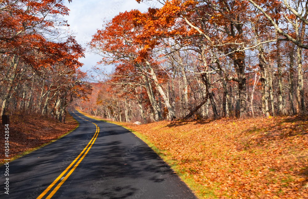Obraz premium Blue Ridge Parkway Fall 2024