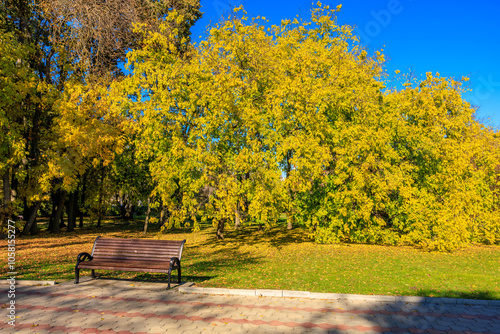 A park bench sits in front of a tree with yellow leaves