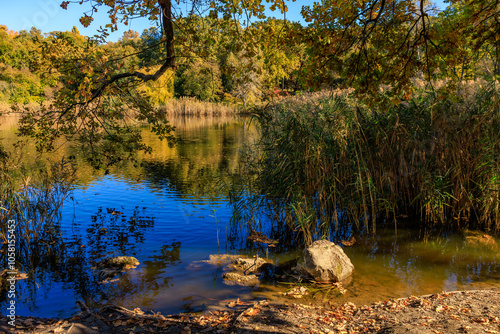 A pond with a tree in the background