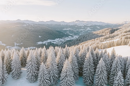 Snow dusted forest on a mountainside under soft winter sunlight overlooking rolling hills and distant tree covered mountains