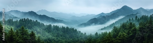 Misty Mountain View