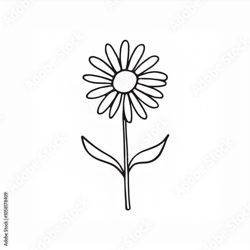 daisy hand drawn outline illustration isolated on white