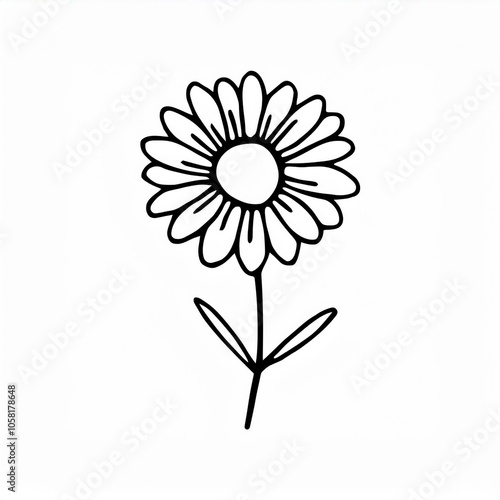 daisy hand drawn outline illustration isolated on white