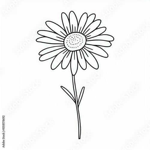 daisy hand drawn outline illustration isolated on white