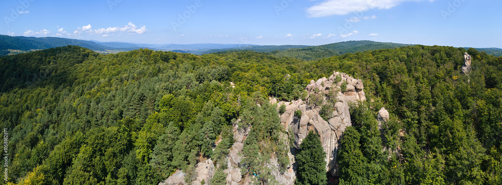 Fototapeta premium Aerial view of bright landscape with green forest trees and big rocky boulders between dense woods in summer. Beautiful scenery of wild woodland