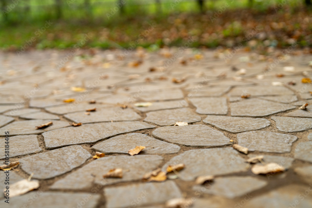 Obraz premium 落ち葉がある石畳の道 秋の風景