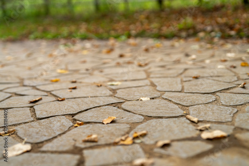 落ち葉がある石畳の道 秋の風景