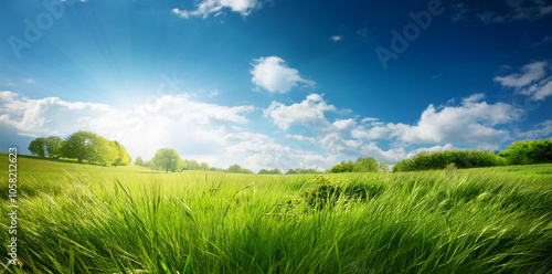 自然と空と太陽の光