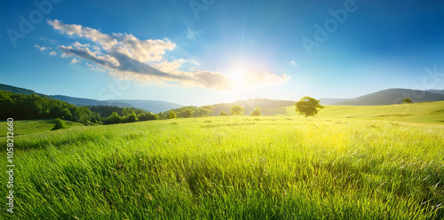 自然と空と太陽の光