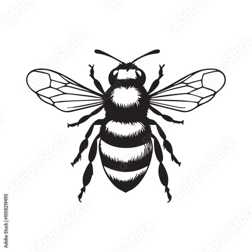 bee isolated on white