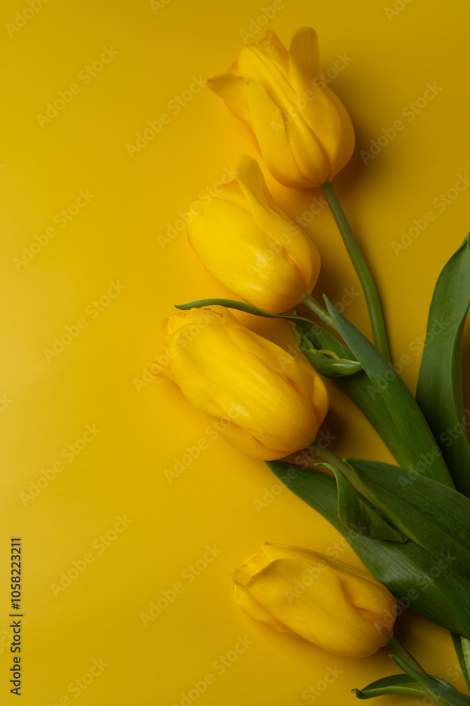 Tulips, yellow. Spring flowers on yellow background. Bright sunny floral arrangement, top view. Perfect for postcards, posters and online content. Nature and holidays