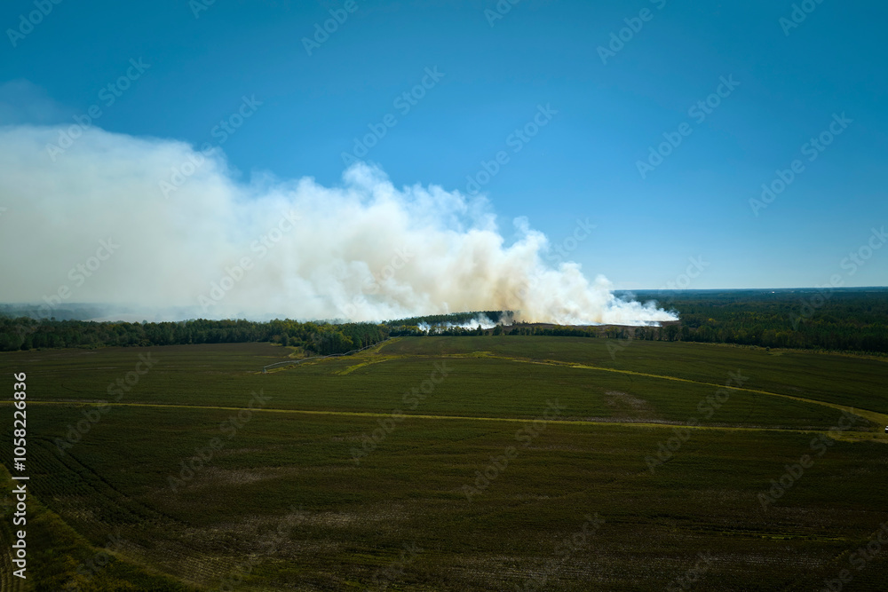 View from above of dense smoke from woodland and field on fire rising up polluting air. Concept of natural disaster View from above of dense smoke from woodland and field on fire rising up polluting air. Concept of natural disaster