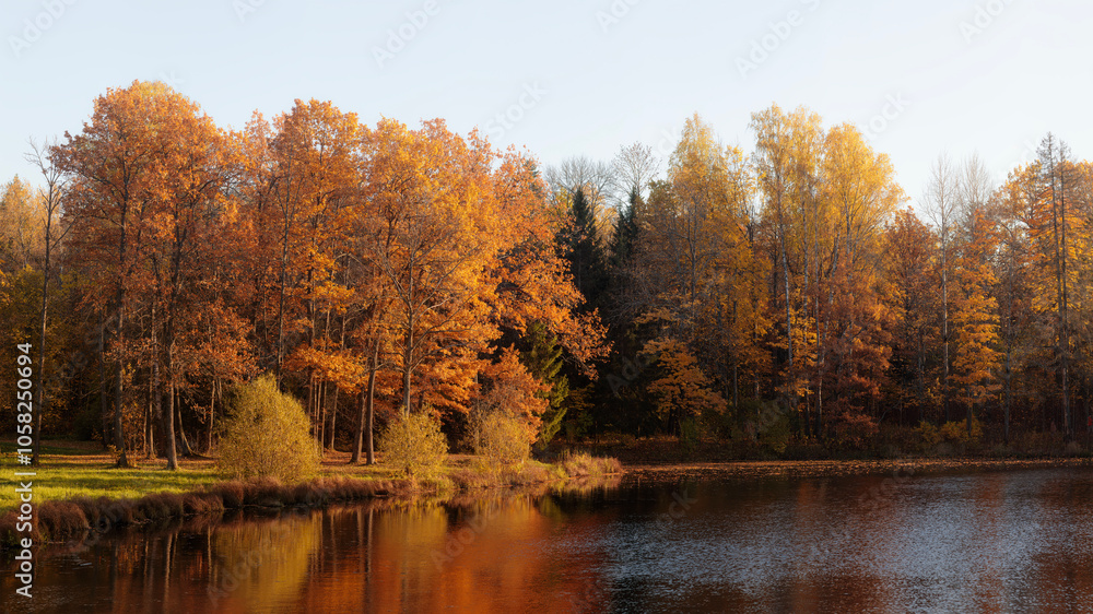 Autumn forest with golden trees by the river. Outdoor nature landscape photography for design and print. Fall season concept. Autumn forest with golden trees by the river. Outdoor nature landscape photography for design and print. Fall season concept.