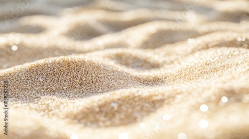 Close-up of Quinoa Seeds