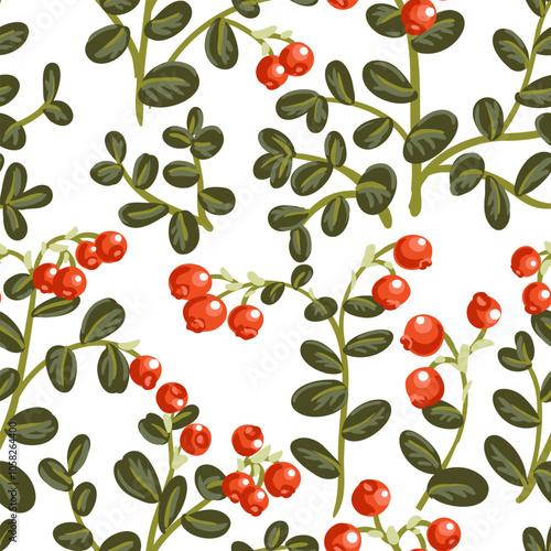 vector seamless pattern with drawing plants of lingonberry with green leaves and red berries at white background, hand drawn illustration