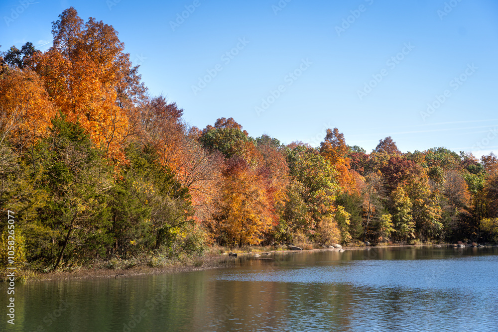 autumn trees in the park autumn trees in the park