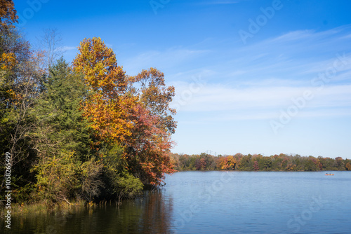 autumn trees in the park