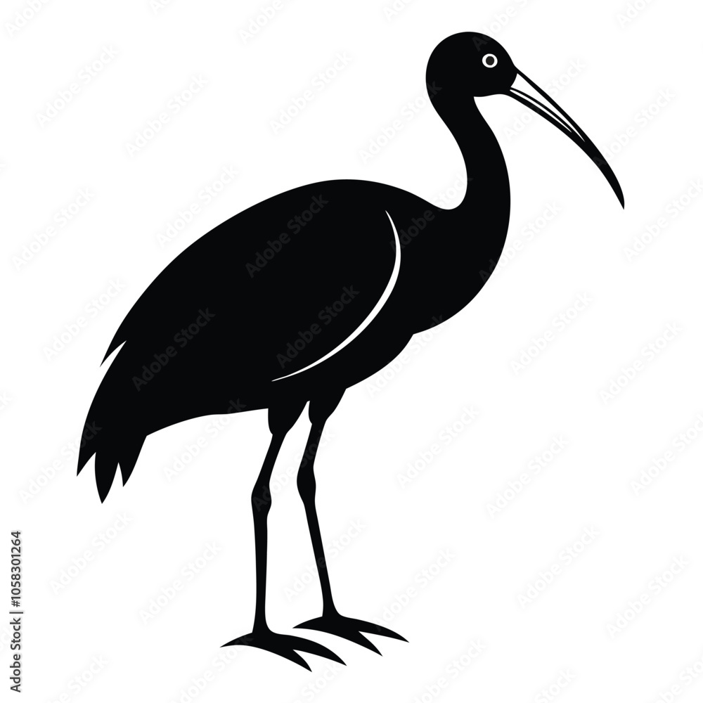 ibis-a-silhouette-vector-with-white-background ibis-a-silhouette-vector-with-white-background