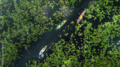 Tableau sur toile Aerial view of kayaks paddling through a field of lily pads