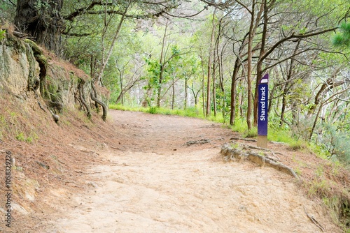 Pathway in Mount Victoria Park: Scenic Walkway with Natural Views photo