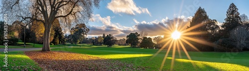 A serene park landscape at sunset with vibrant colors and a large tree.