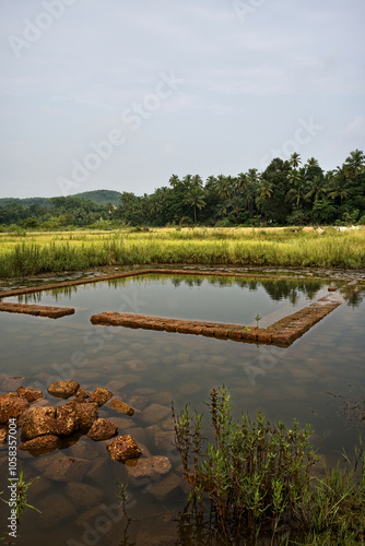 Obraz na płótnie The rice fields of Gokarna: a haven of peace w salonie