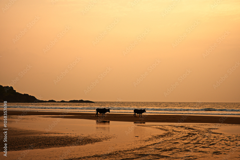 Sunset Escape at Gokarna Beach