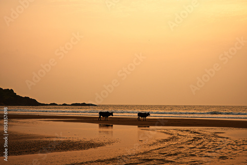 Obraz na płótnie Sunset Escape at Gokarna Beach w salonie