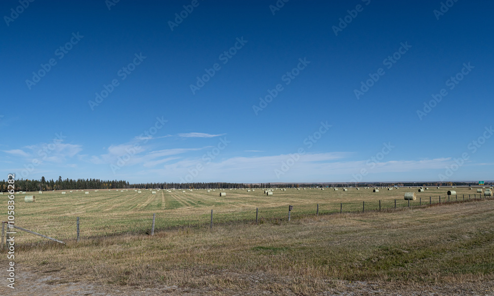 Fototapeta premium Agricultural Farm field with bales of hay