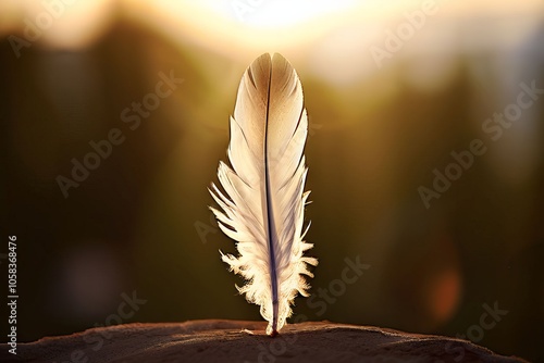  angel represented by a single feathersymbolizing lightness grac photo