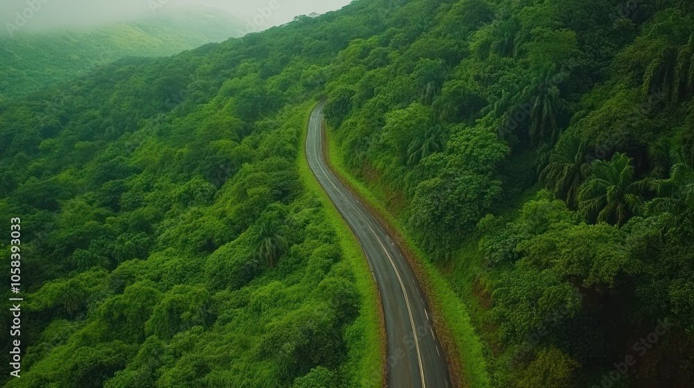 Fototapeta premium Winding asphalt road through dense green jungle with mist and rain.