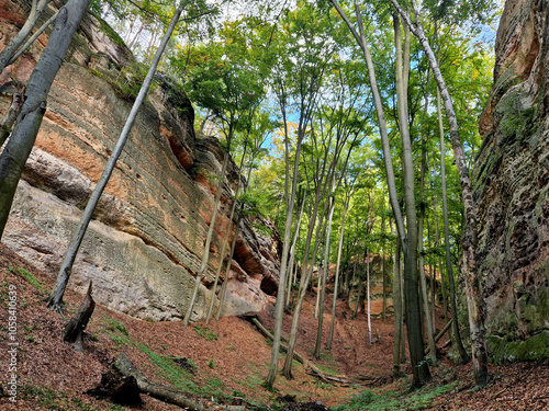 rocky gorge with overhangs and caves. a quiet meditative space to walk. mammoth hunters slept here in the past photo