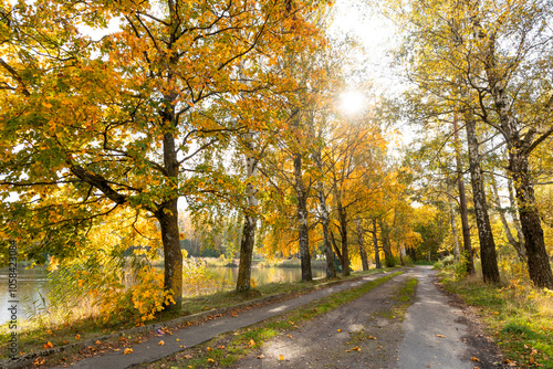 Beautiful sunny autumn day landscape at the lakeside in Latvia. Seasonal scenery of Northern Europe.