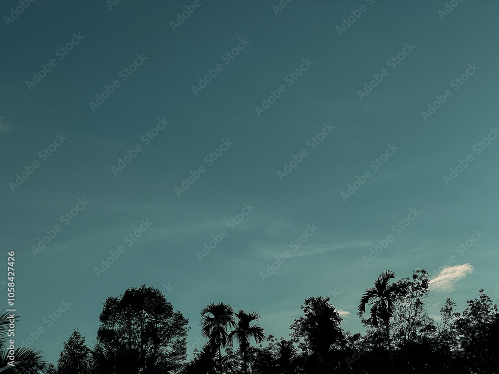 Fototapeta premium blue sky at sunset background