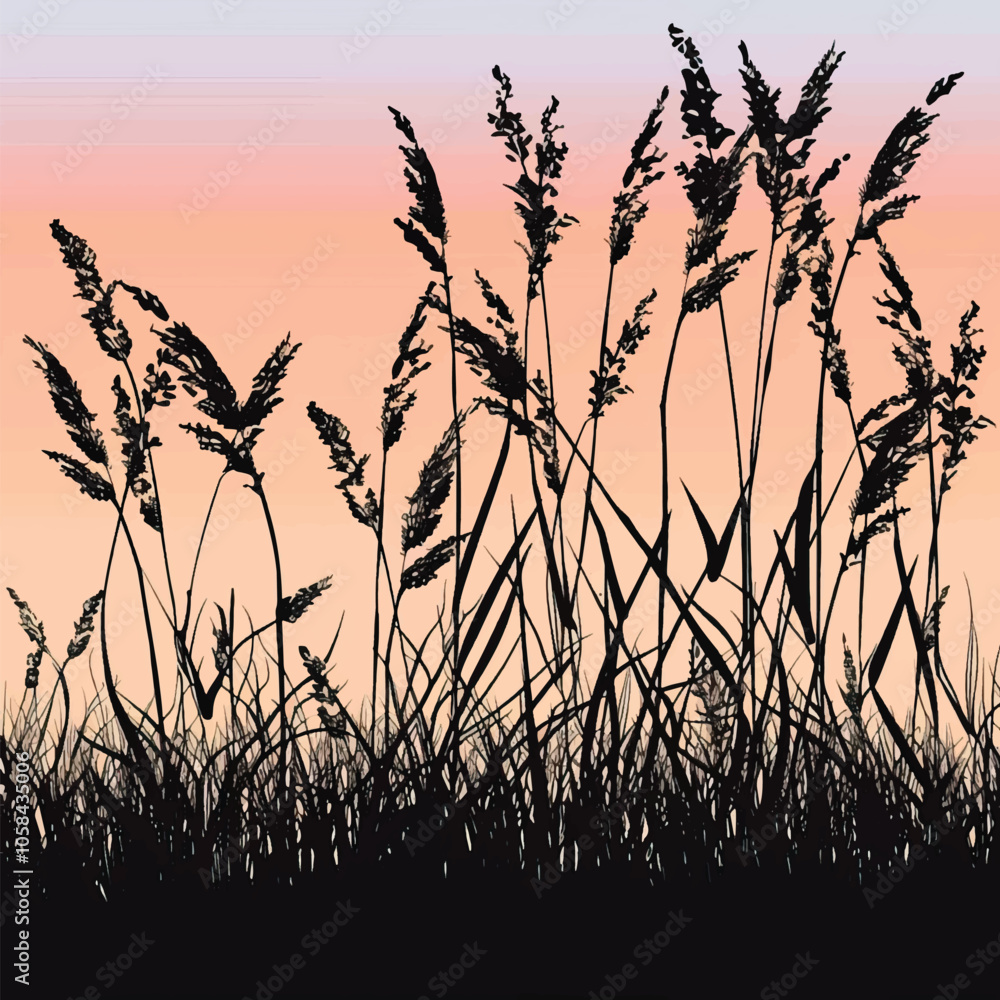 Obraz premium A silhouette of tall grass against the sunset. silhouette illustration