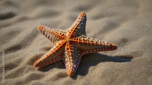 A vibrant starfish lies on a sandy beach, basking in the sun and showcasing its intricate pattern photo