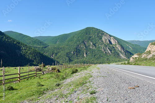 Mountain road in the summer. Altai Republic, Siberia, Russia photo