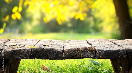 Wallpaper Mural Wooden bench in the park Abstract Gradient Background with Copy Space Torontodigital.ca