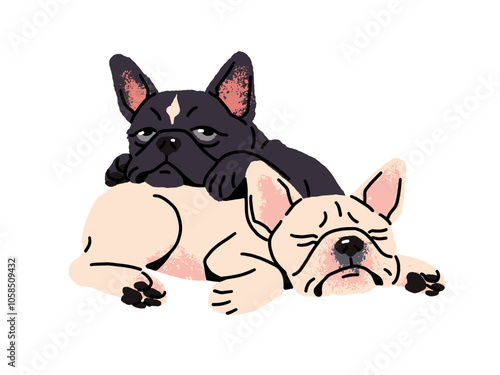 Cute couple of French bulldog sleeps together. Funny little dogs have a rest, lying. Asleep puppies relax. Amusing sleepy pets, domestic animals. Flat isolated vector illustration on white background