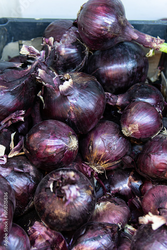 root cooking healthy background food organic vegetable black raw fresh onion bulb spice