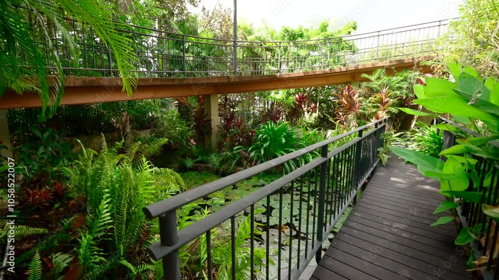 Serene lily pond surrounded by lush greenery and walking paths, offering a peaceful natural retreat, pullback of calming scenery Serene lily pond surrounded by lush greenery and walking paths, offering a peaceful natural retreat, pullback of calming scenery